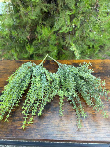 Зеленина воден кресон