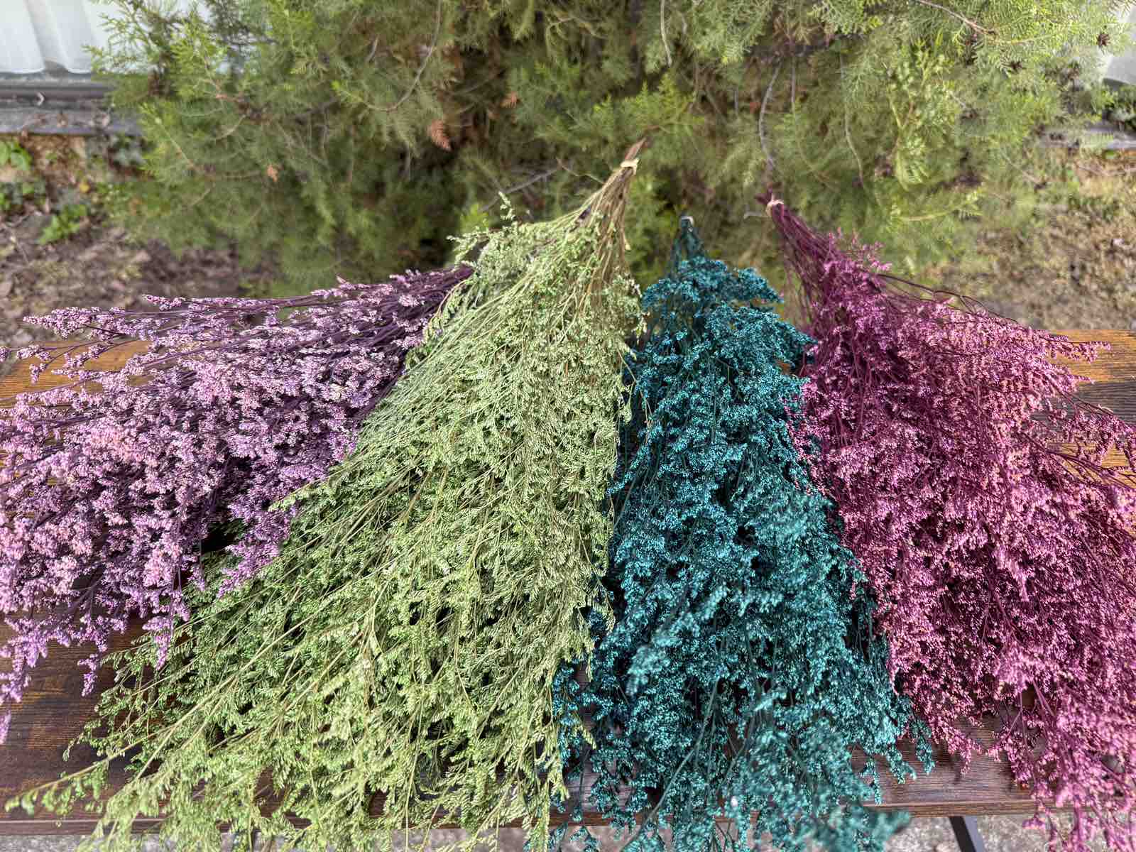 Суха трева lover’s grass