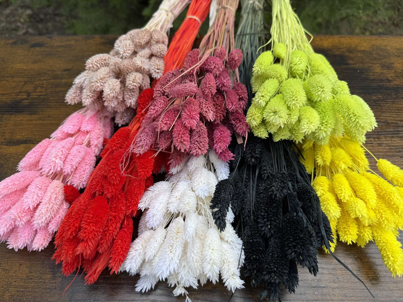 Суха трева гроздове