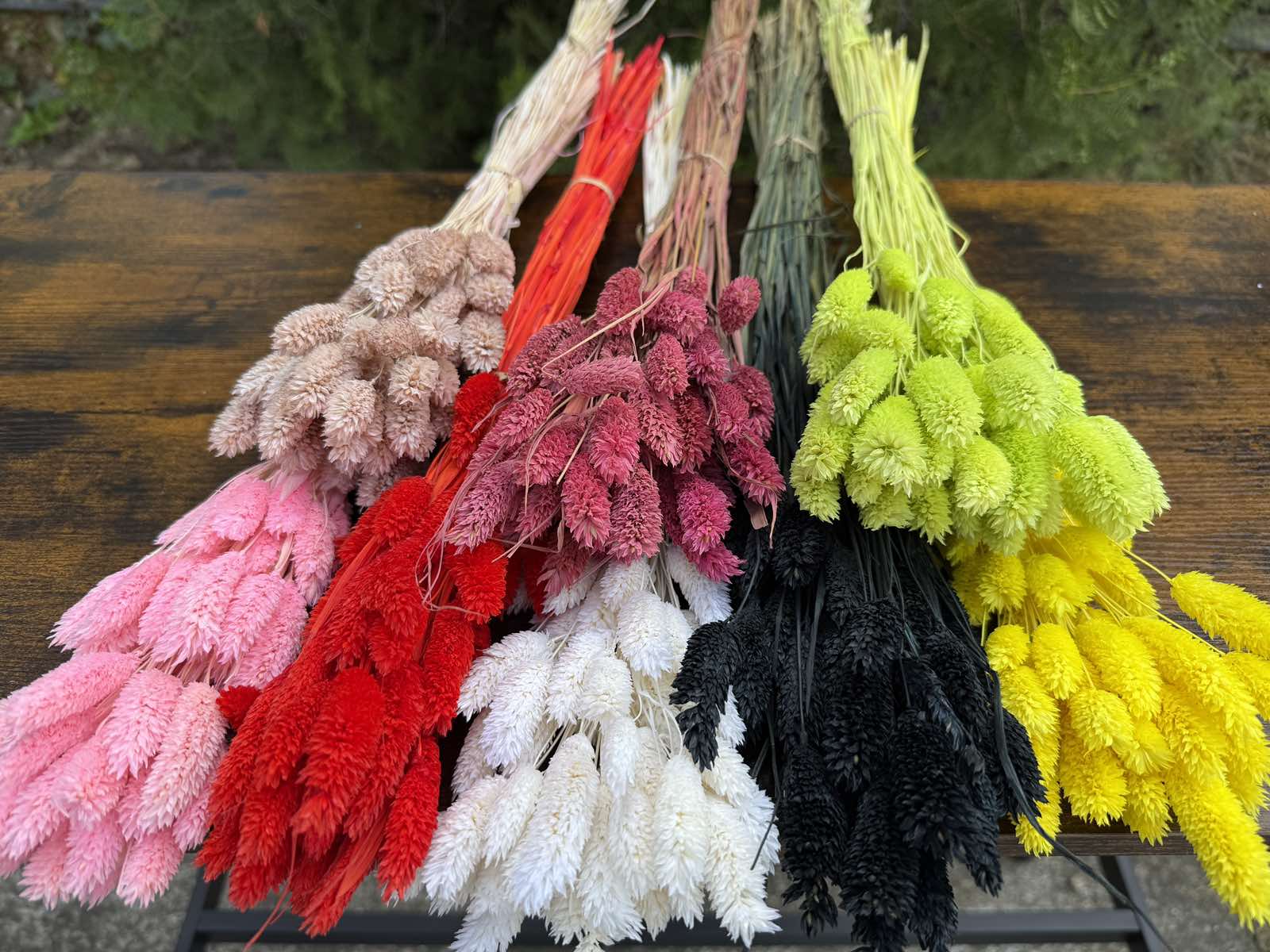 Суха трева гроздове