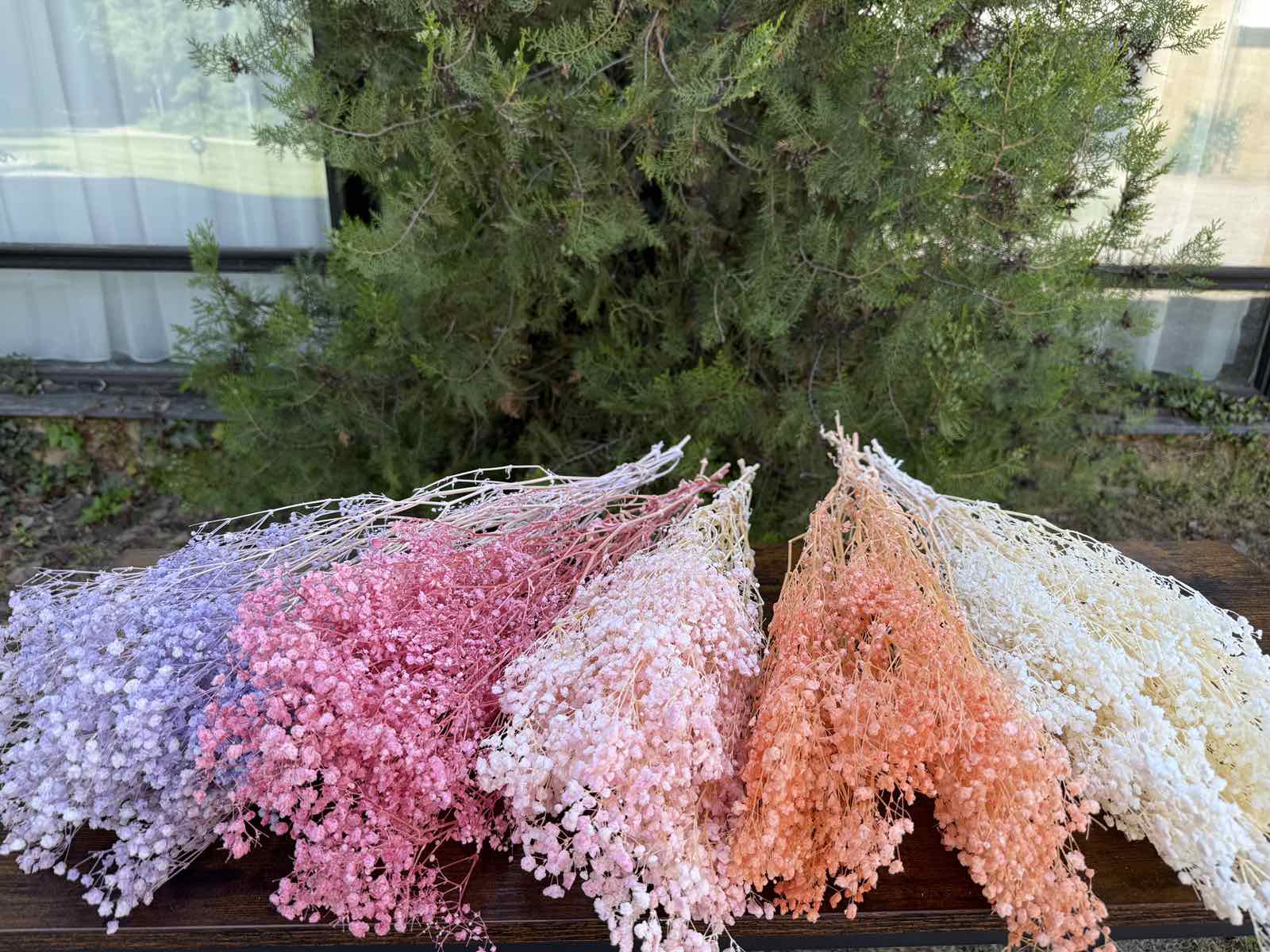 Суха трева фентъзи