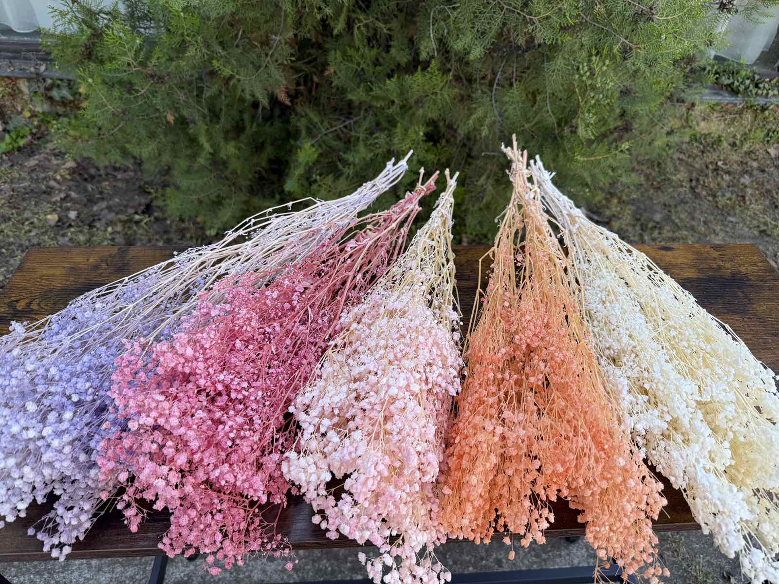 Суха трева фентъзи