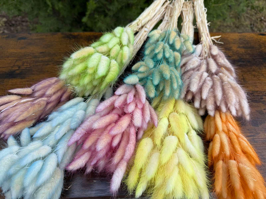 Сухи двуцветни пухчета