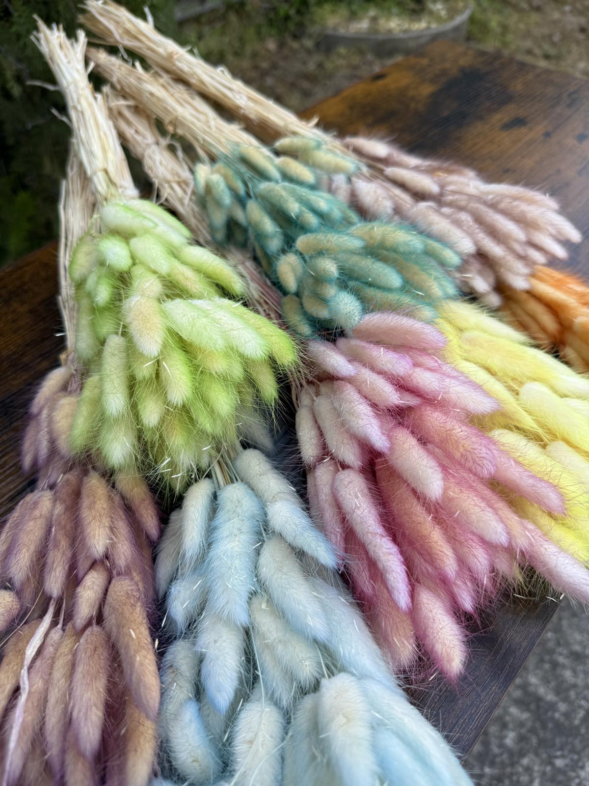 Сухи двуцветни пухчета