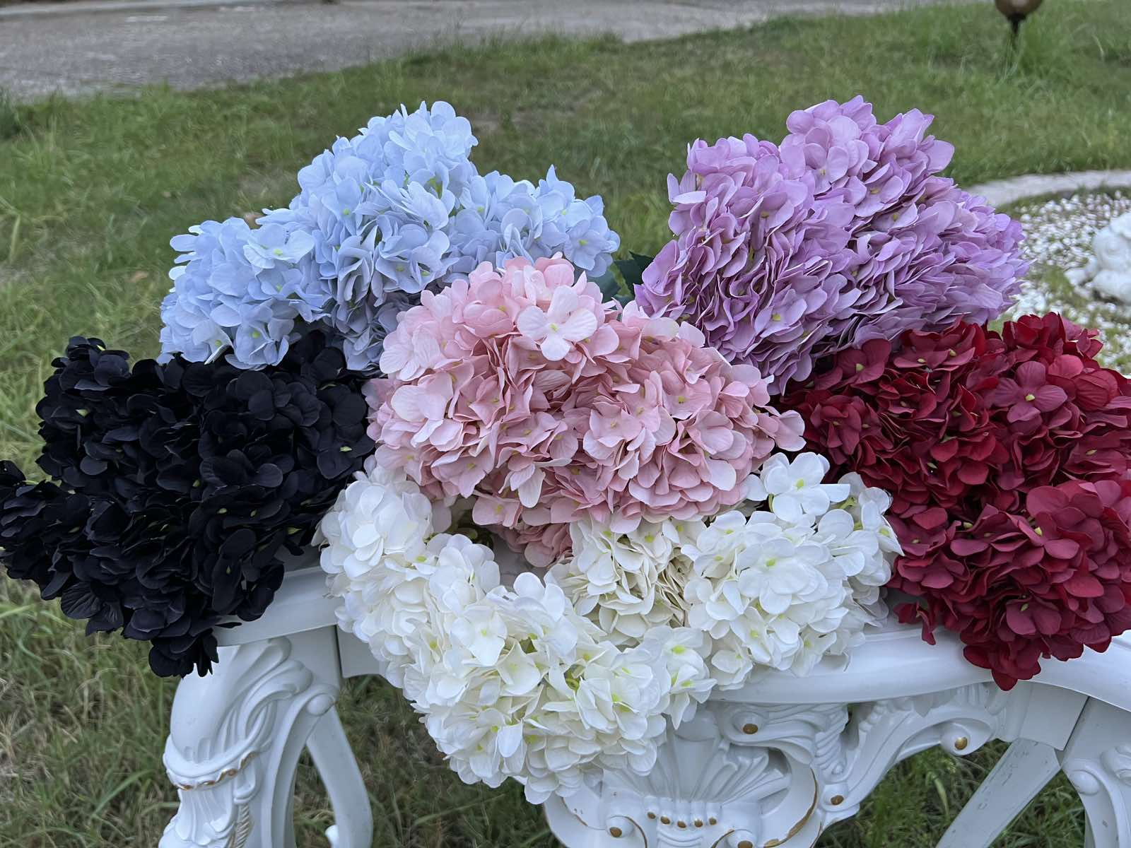 Кичеста дребна хортензия бордо