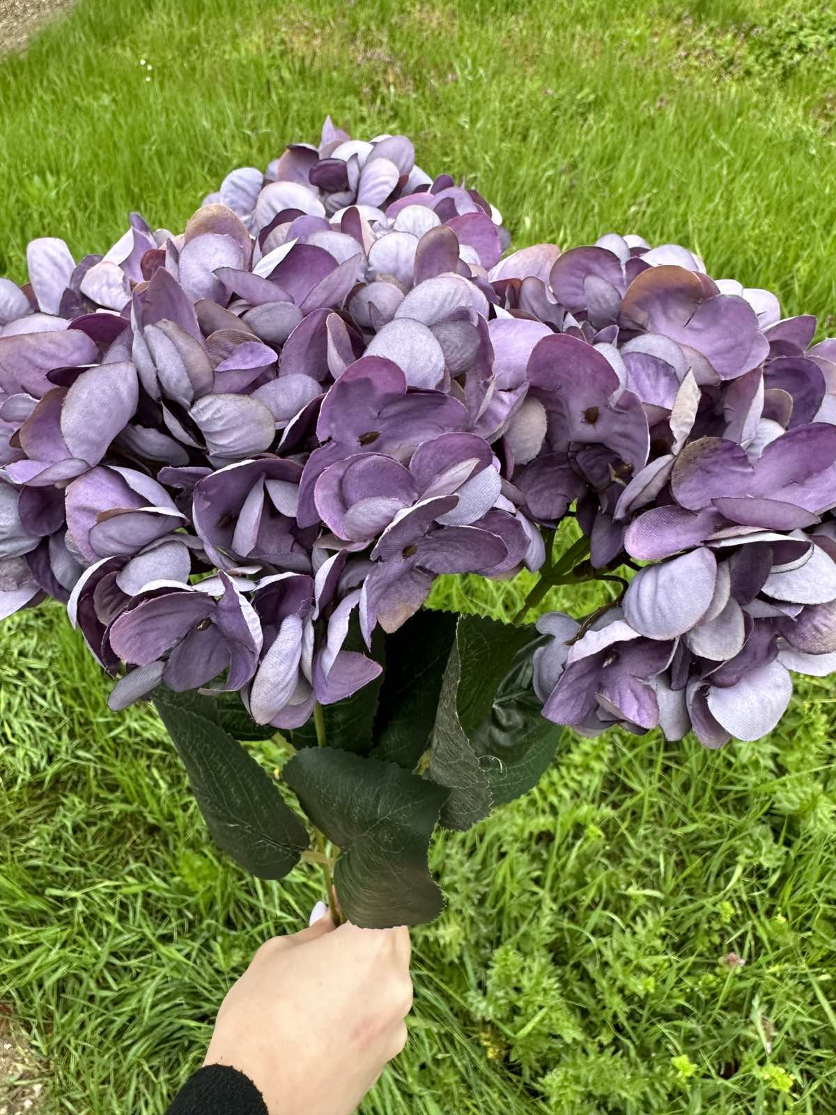 Хортензия винтидж лилава