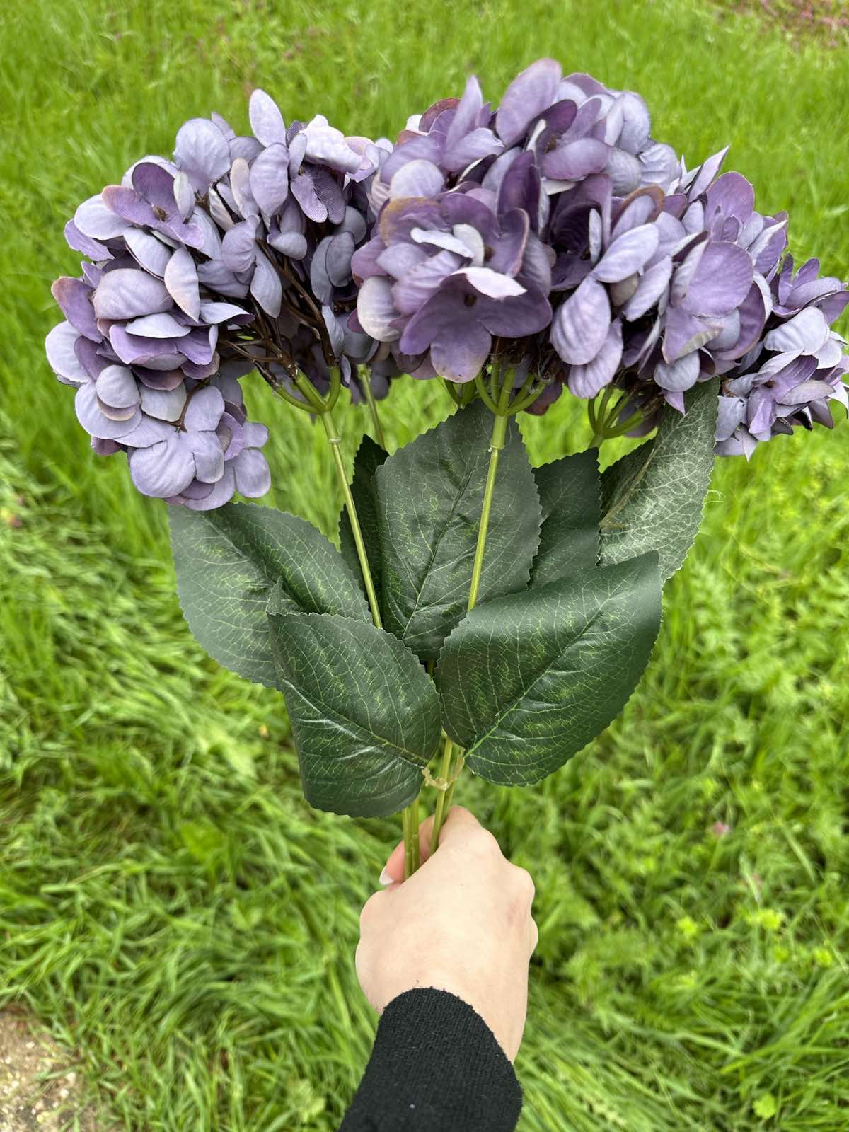 Хортензия винтидж лилава