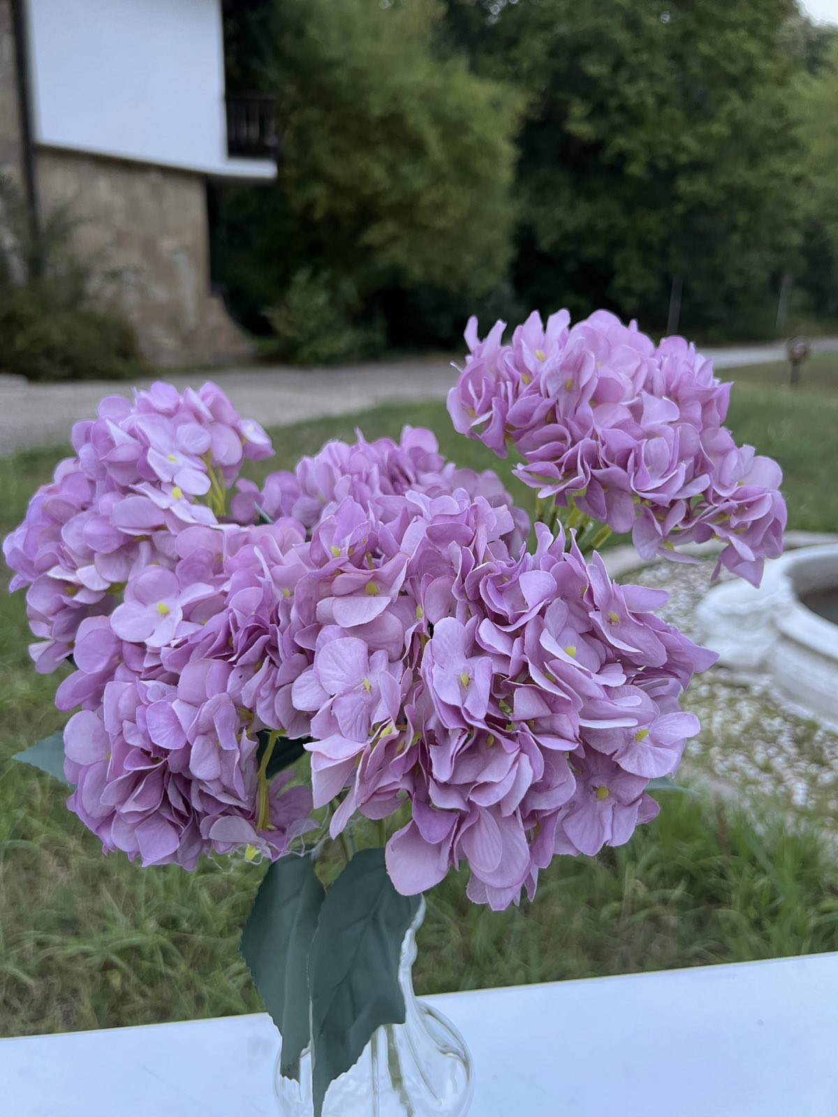 Дребна кичеста хортензия лила