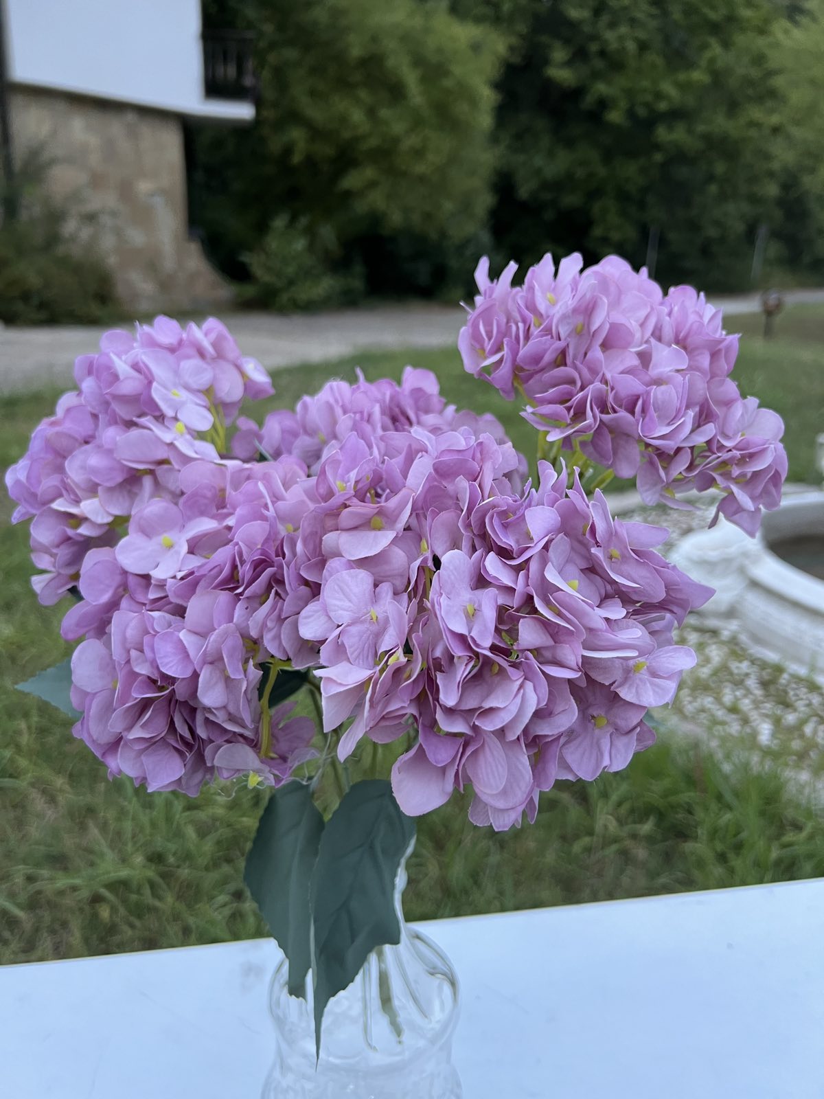 Дребна кичеста хортензия лила