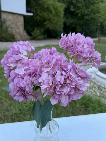 Дребна кичеста хортензия лила