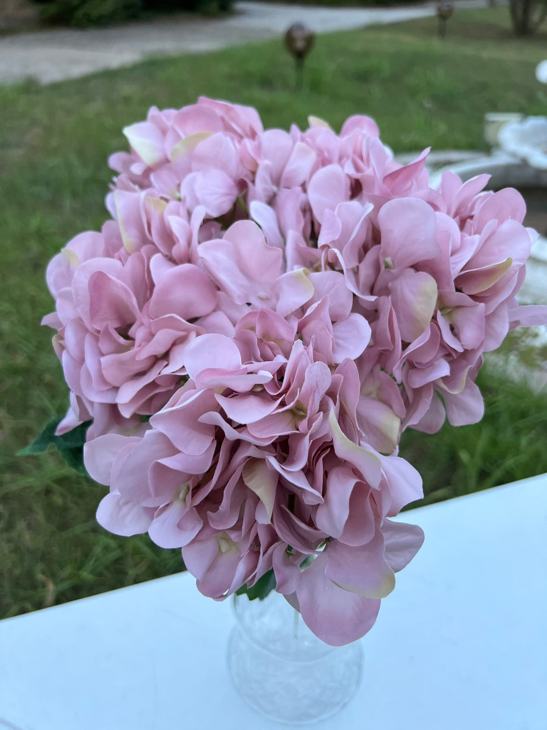 Хортензия коприна розово