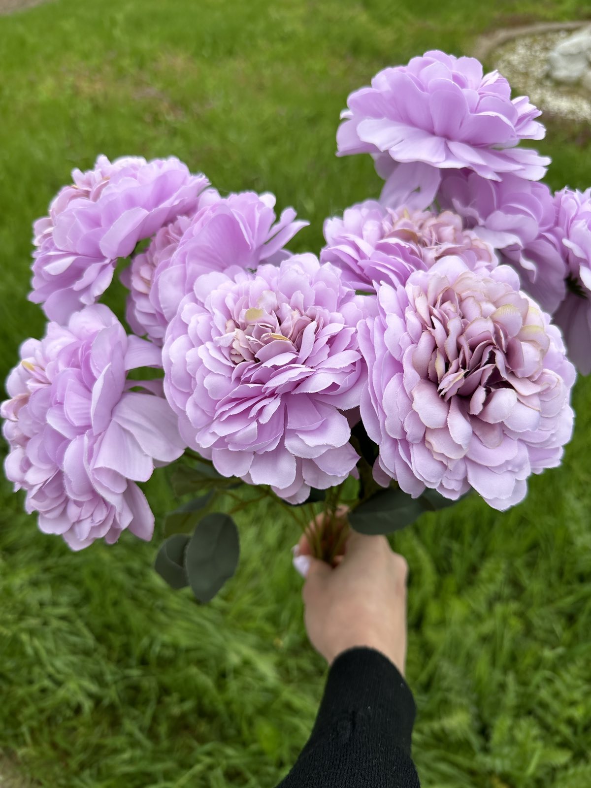 Кичеста хризантема лилаво