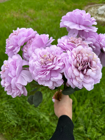 Кичеста хризантема лилаво