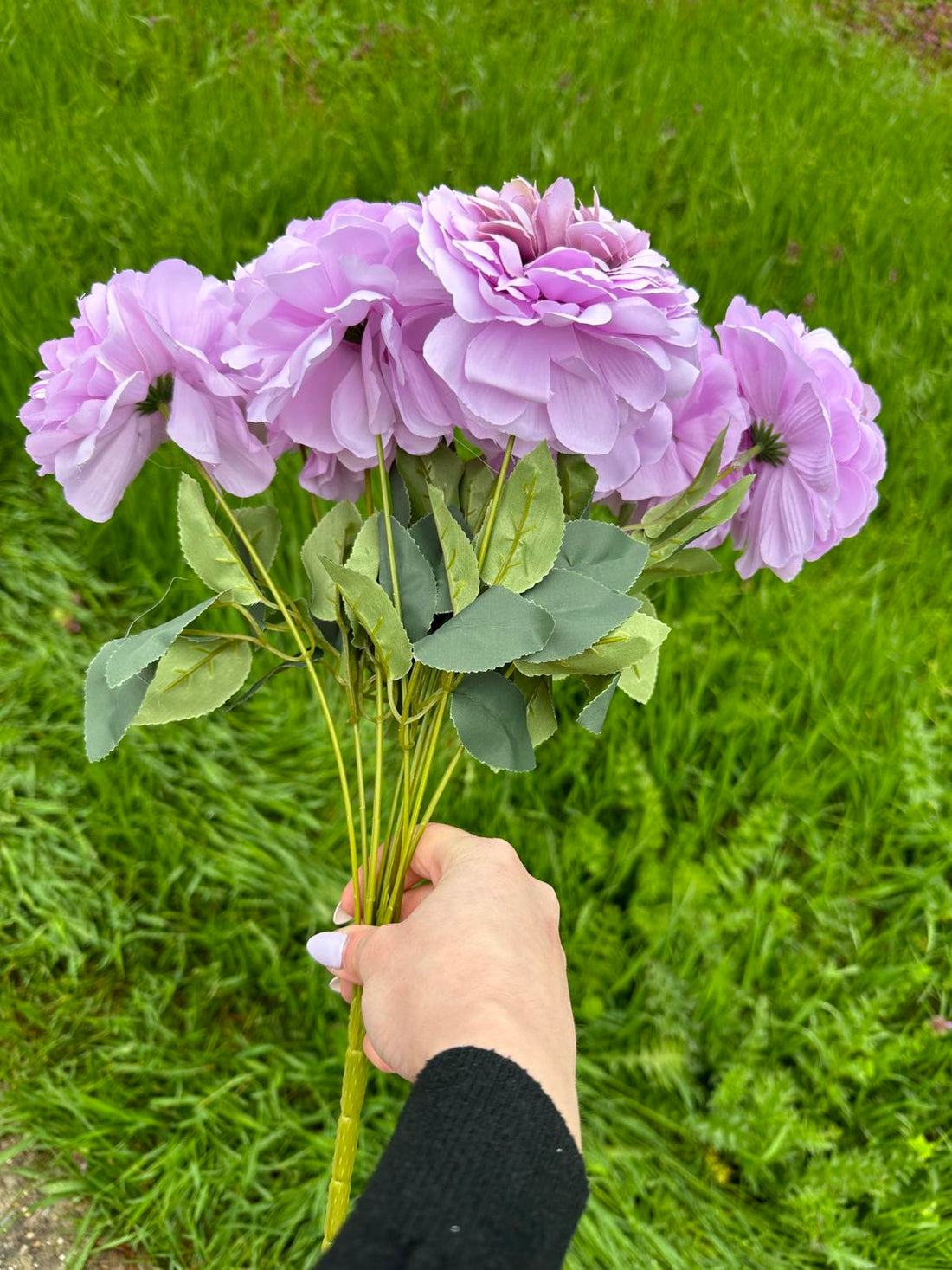 Кичеста хризантема лилаво