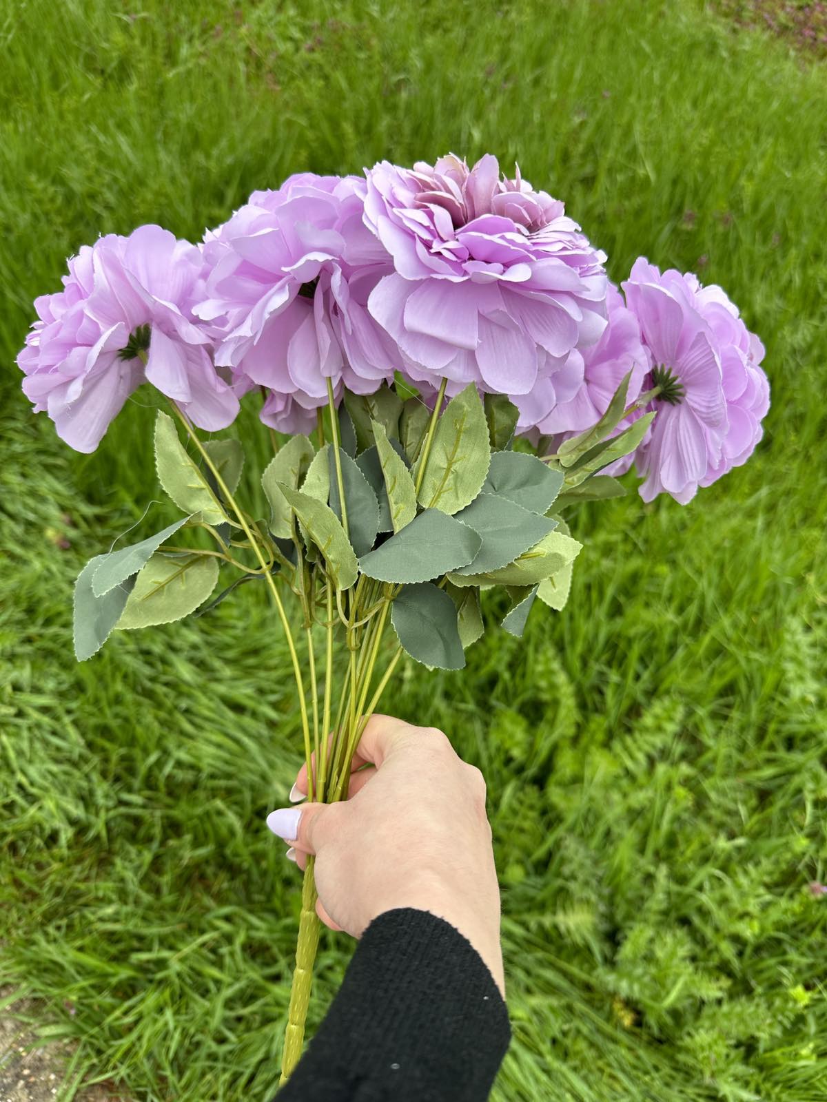 Кичеста хризантема лилаво