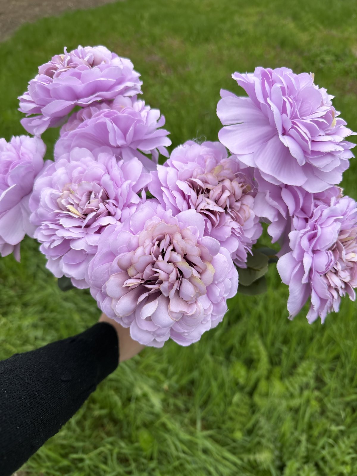 Кичеста хризантема лилаво