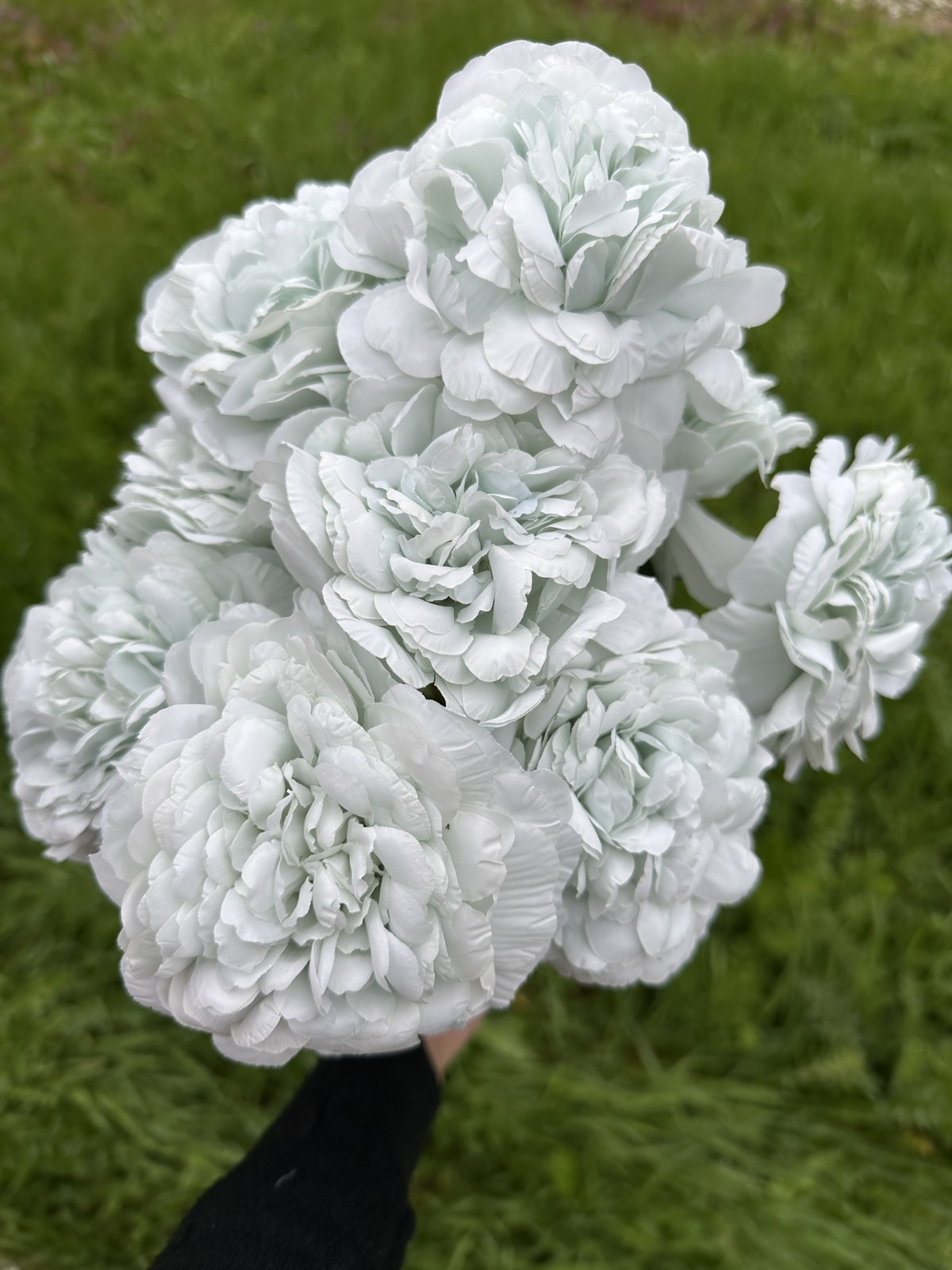 Хризантема кичеста мента