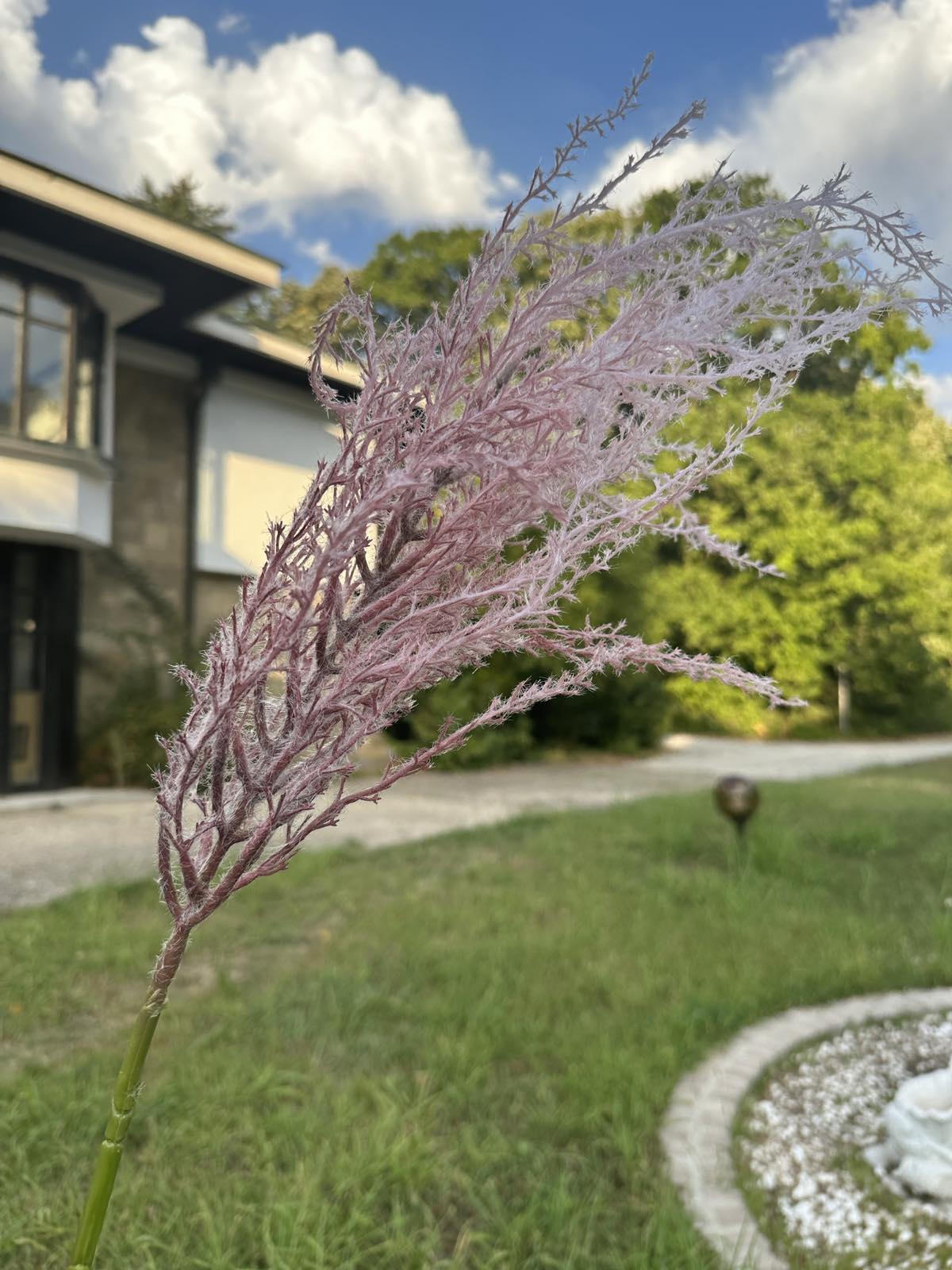 Цветни метлички