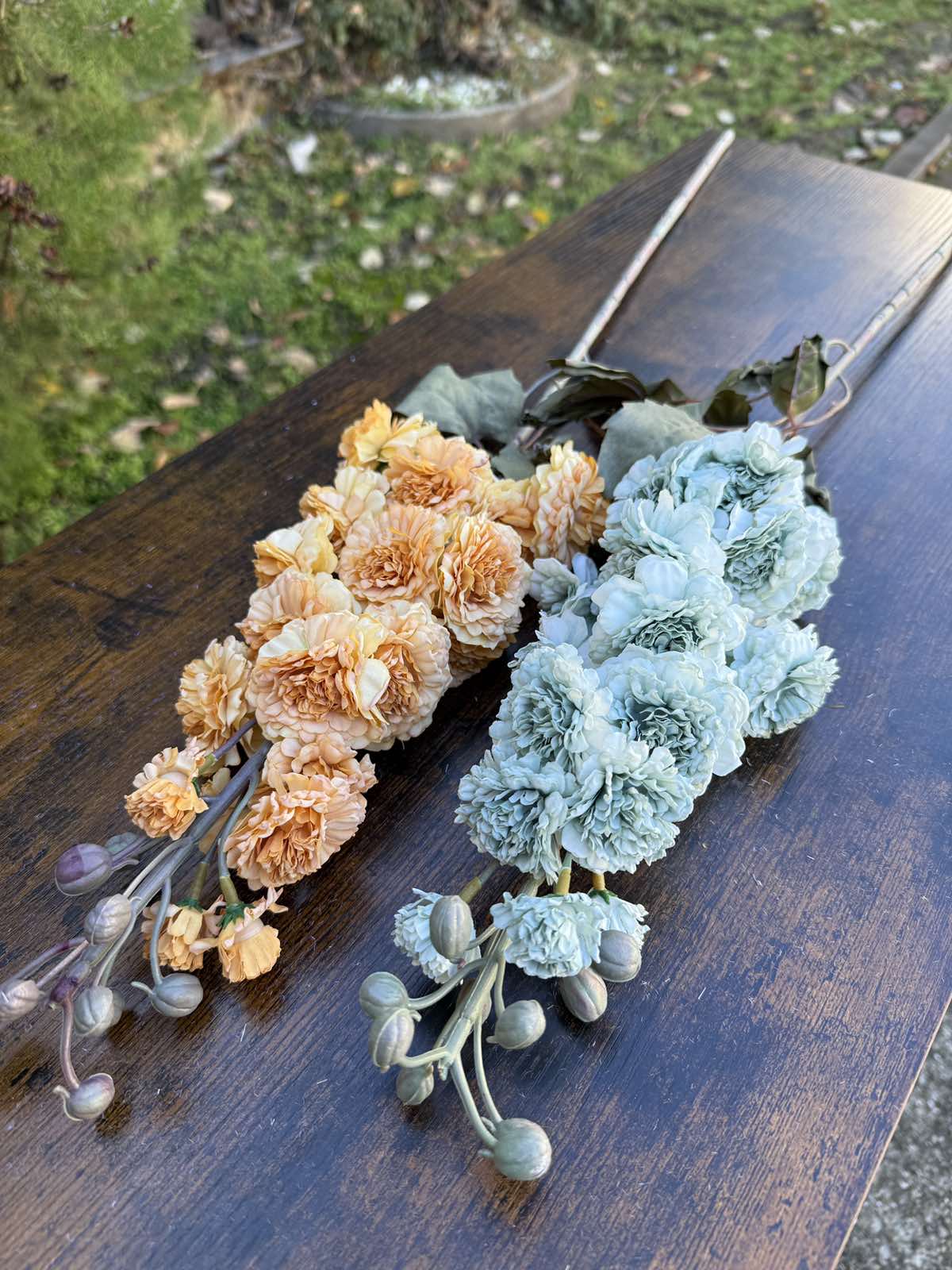 Клонка хризантема цвят