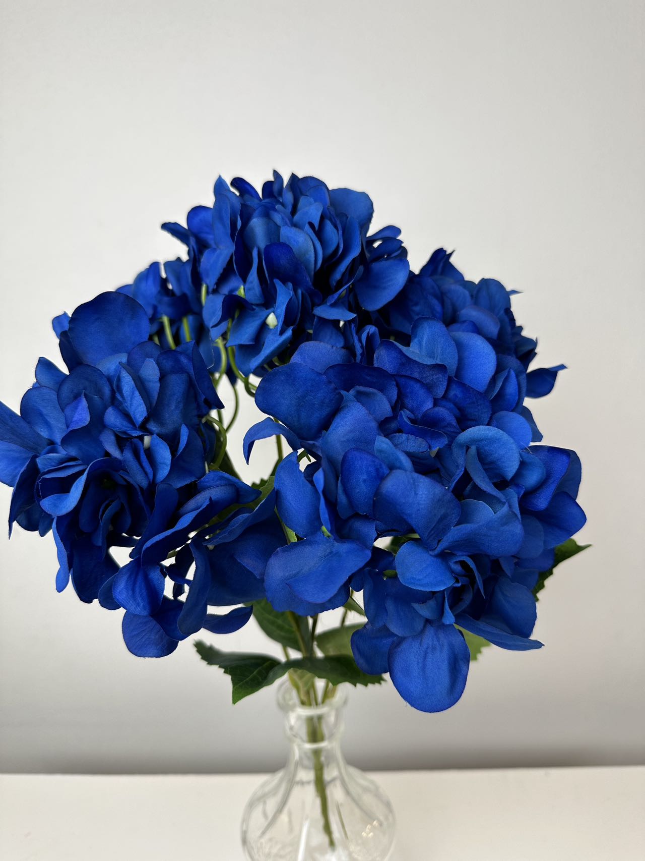 Хортензия коприна т.синя