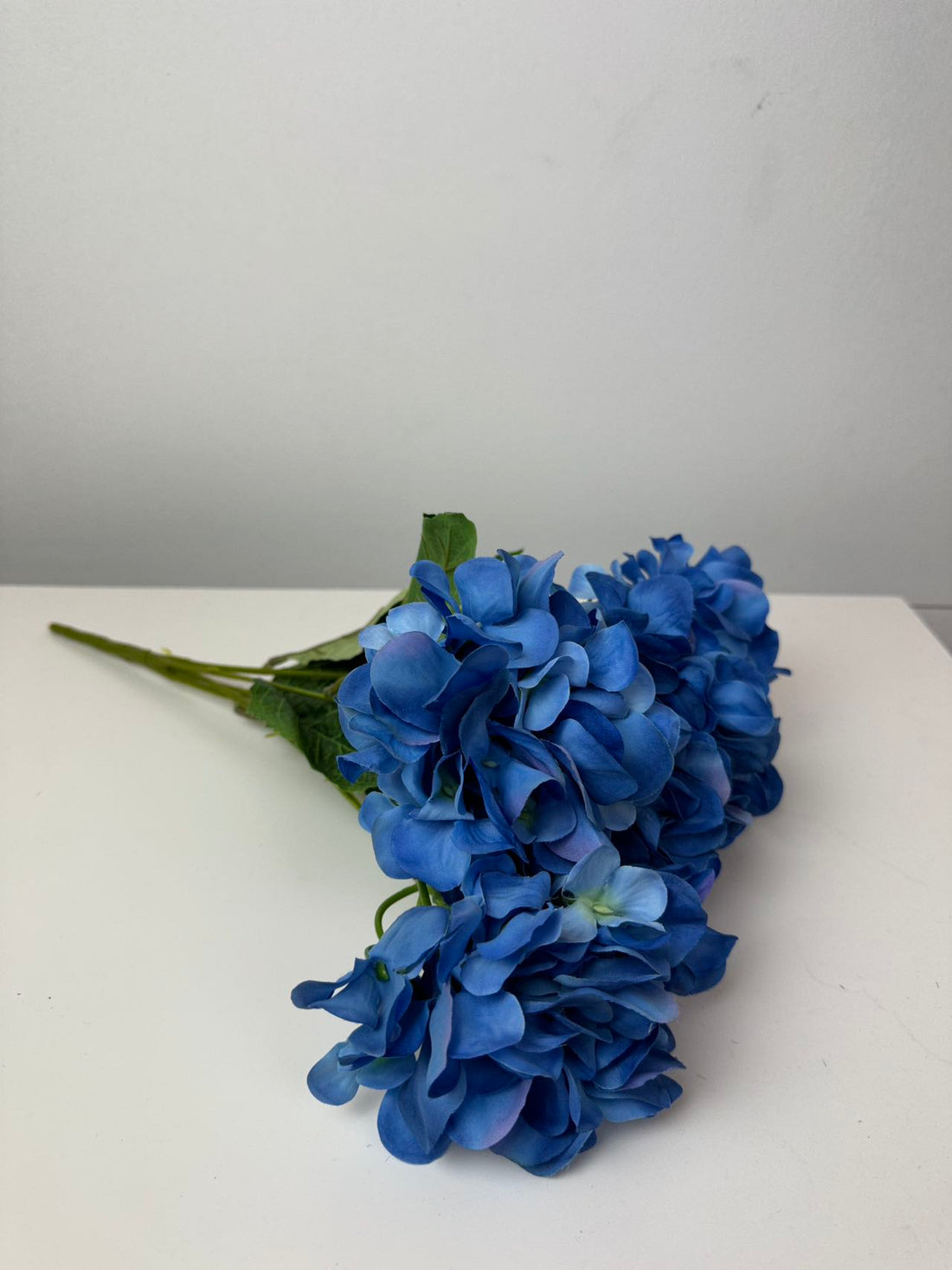 Хортензия коприна св.синя