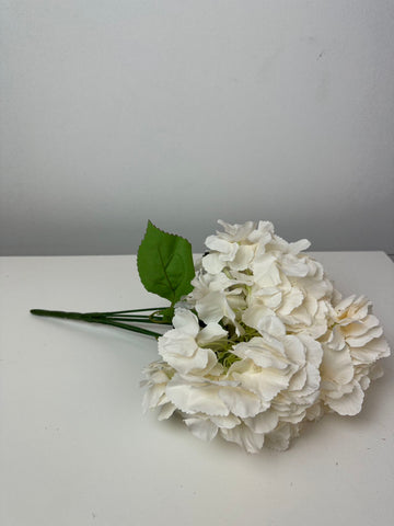 Едра хортензия пудра