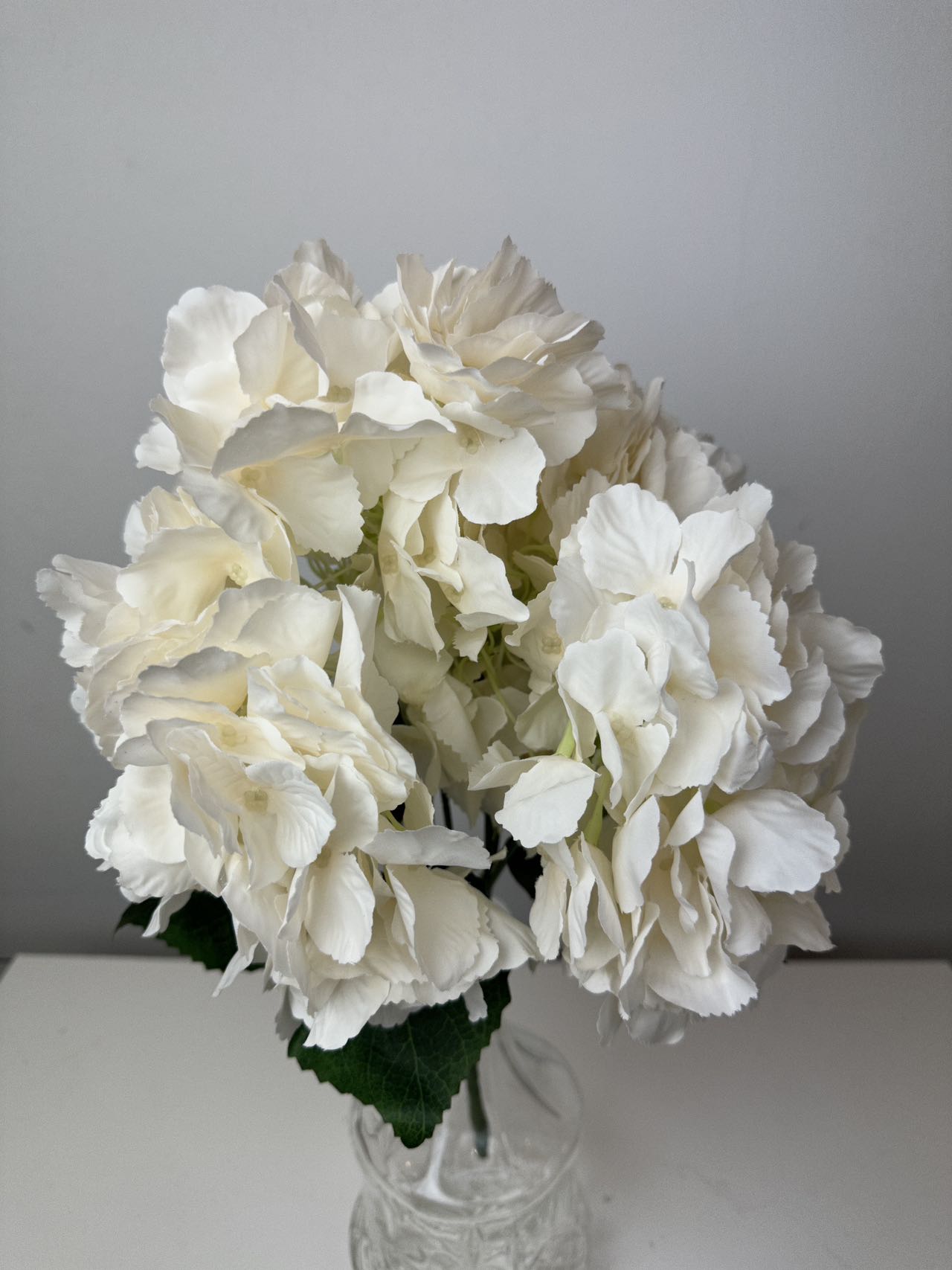 Едра хортензия пудра