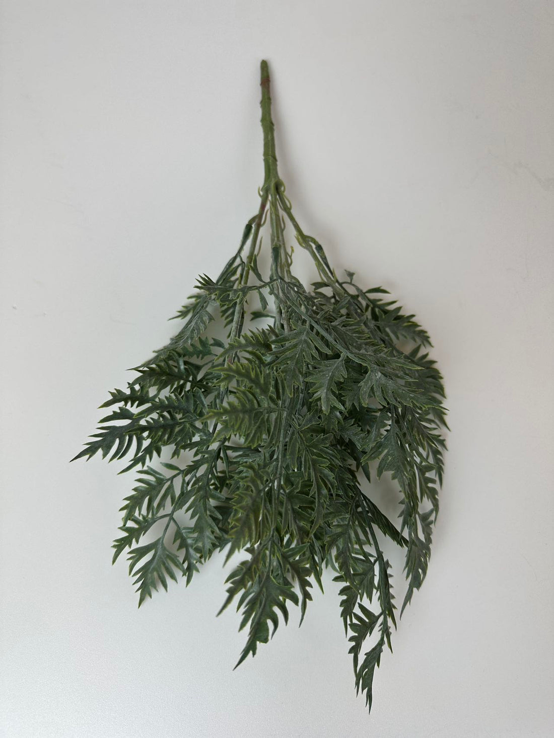 Зеленина морков т.зелено