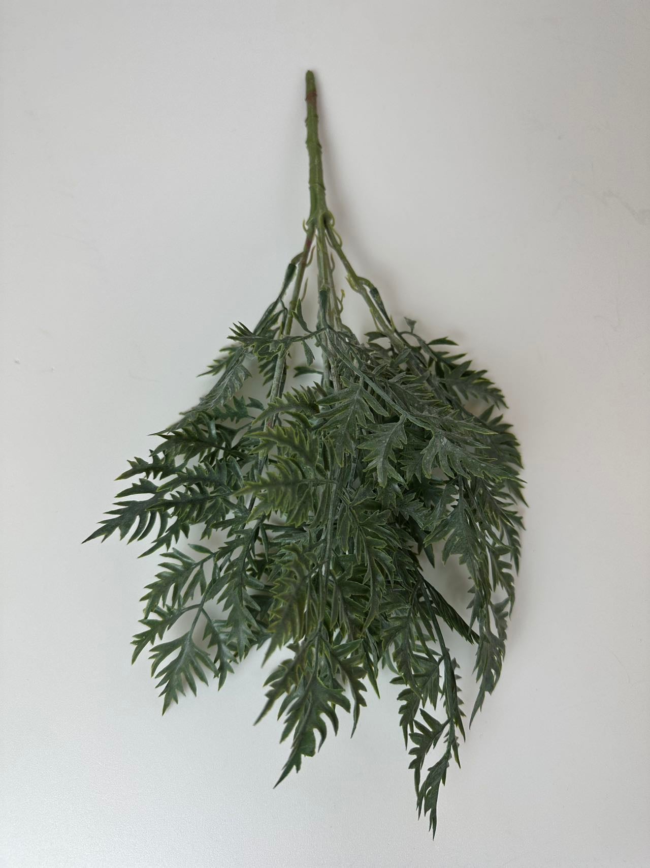 Зеленина морков т.зелено