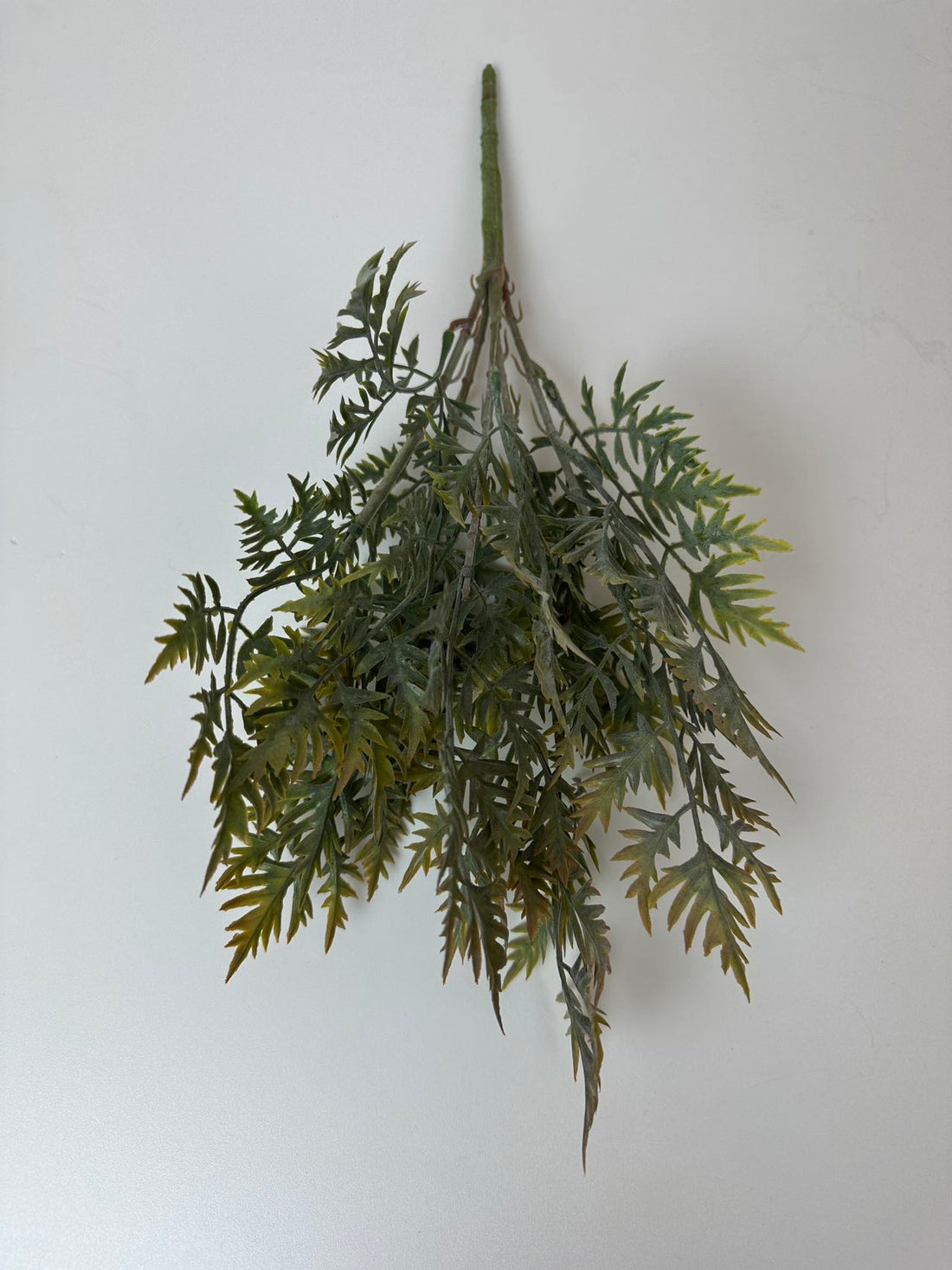 Зеленина морков кафяво