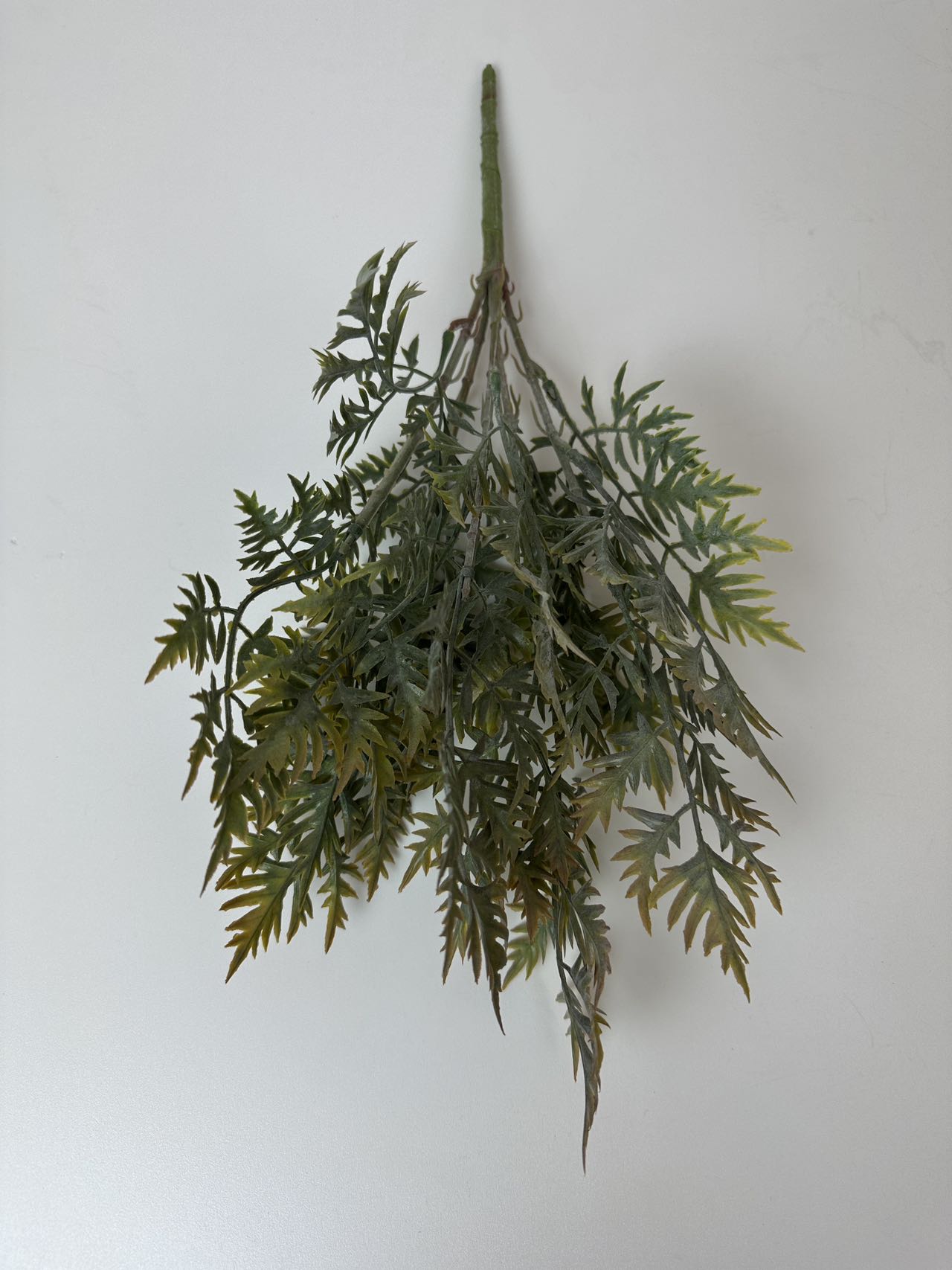 Зеленина морков кафяво