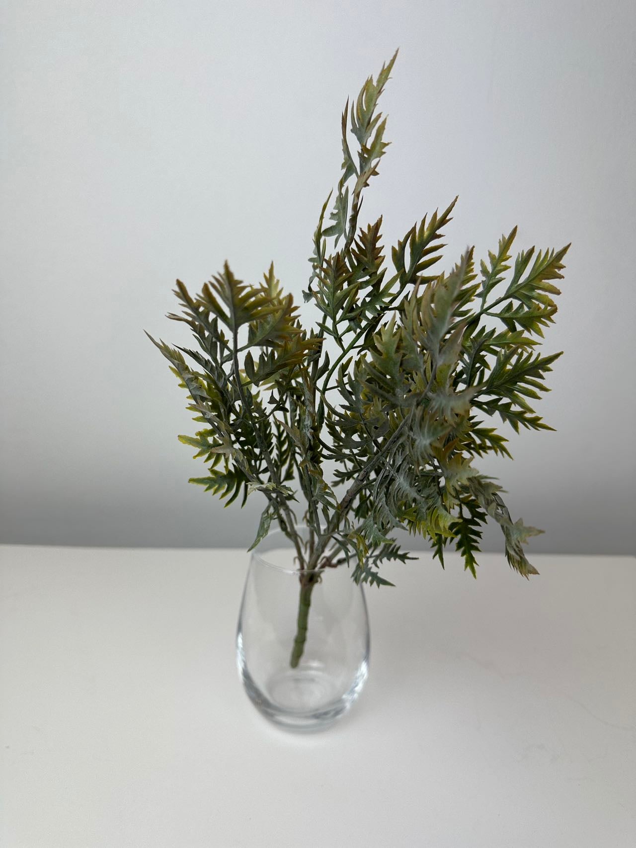 Зеленина морков кафяво