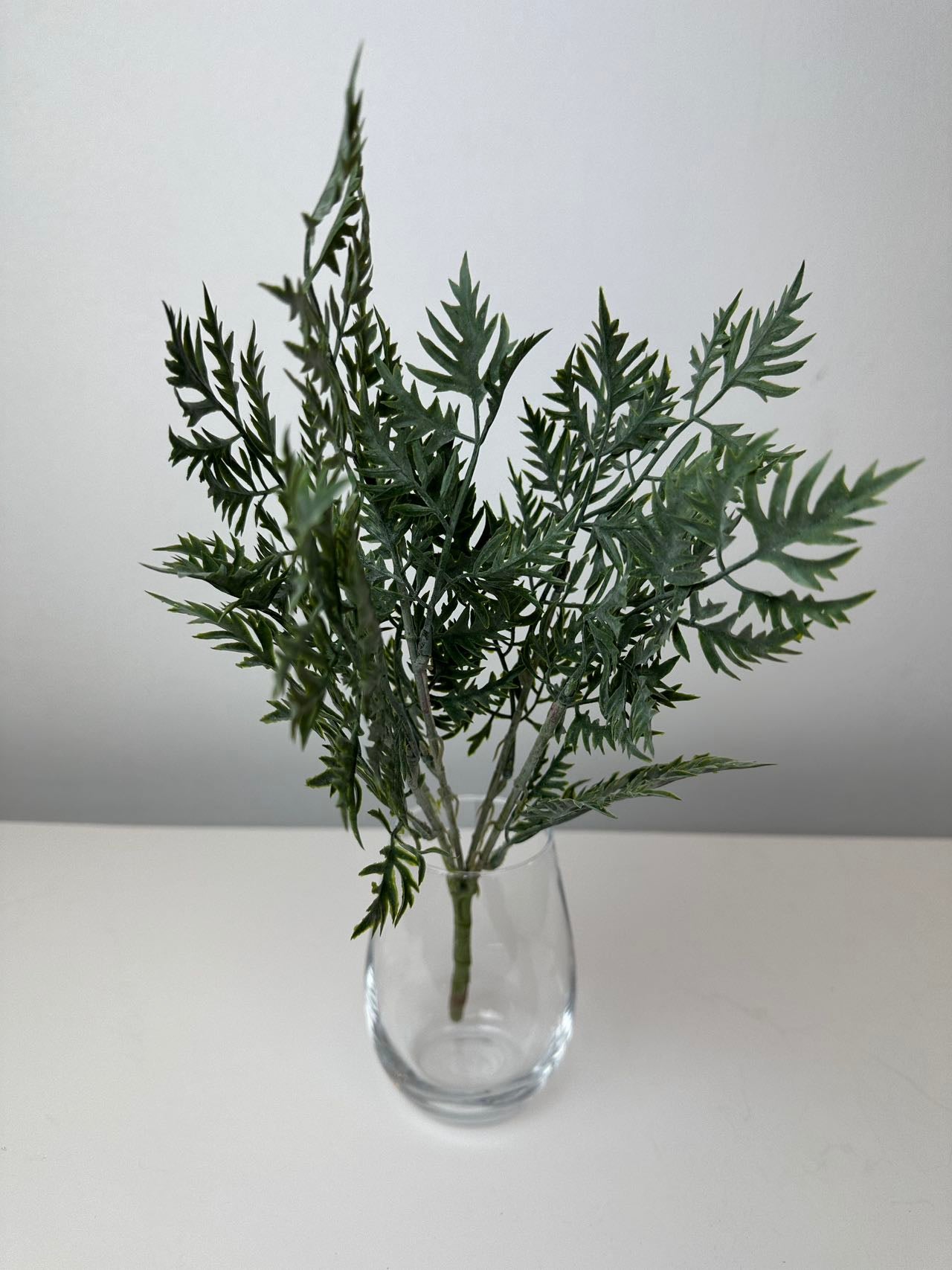 Зеленина морков т.зелено