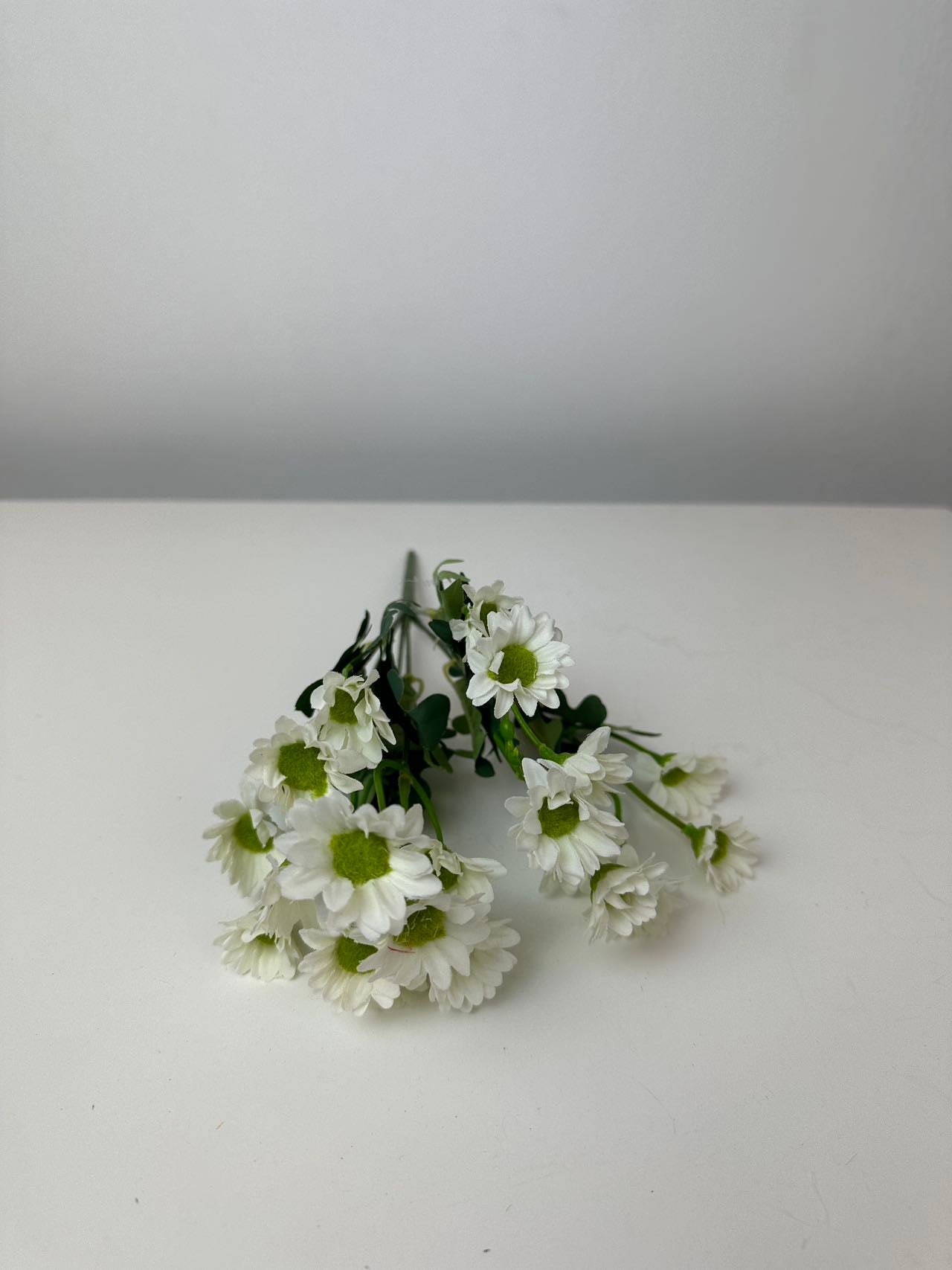 Мини маргаритки бяло