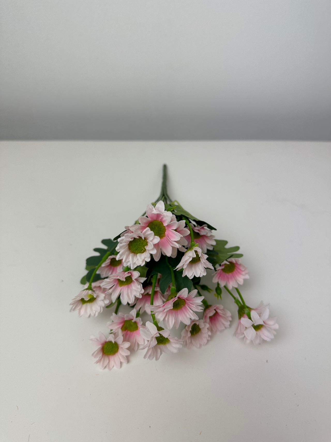 Мини маргаритки розово