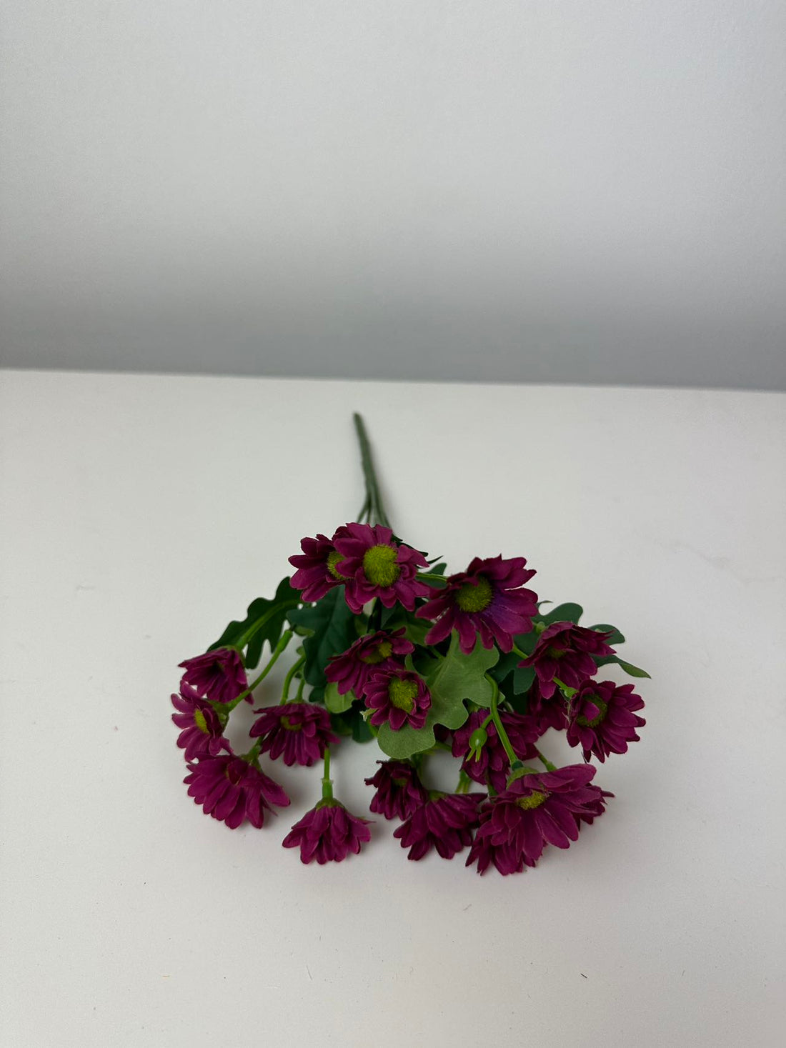 Мини маргаритки циклама