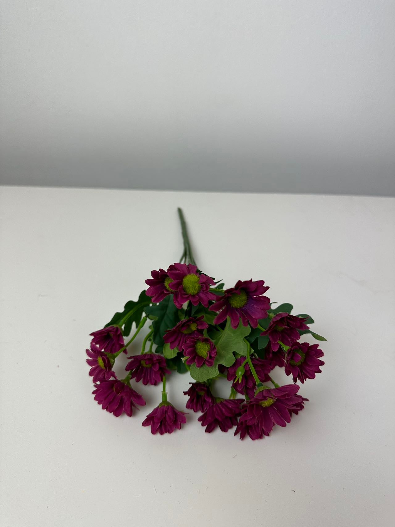 Мини маргаритки циклама