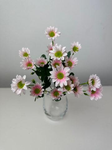 Мини маргаритки розово