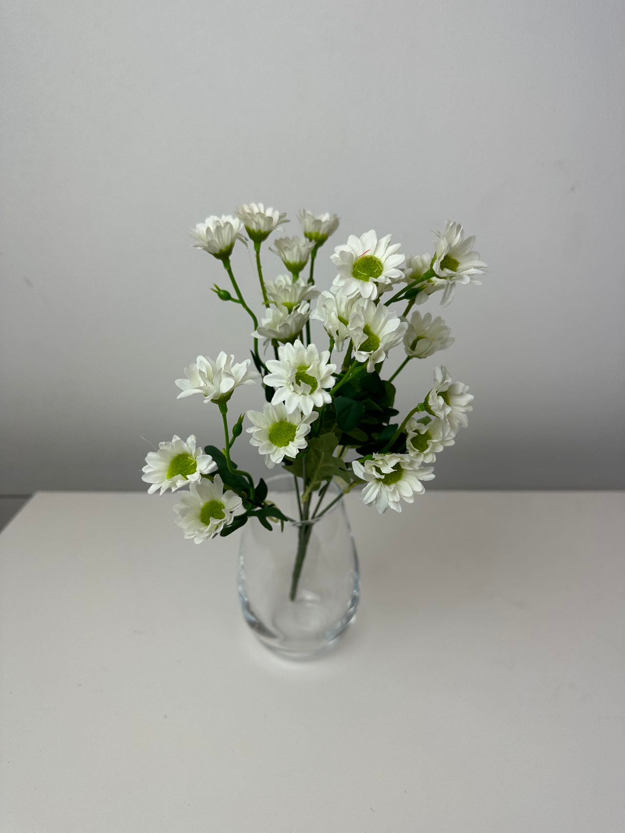 Мини маргаритки бяло