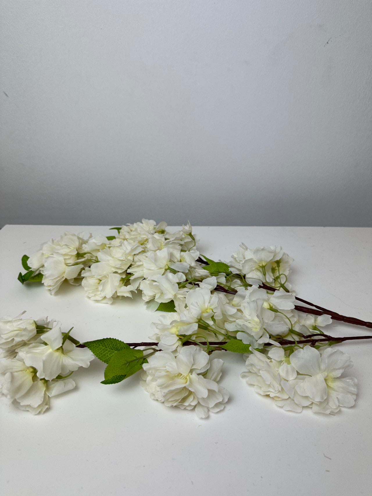 Вишнев цвят бяло