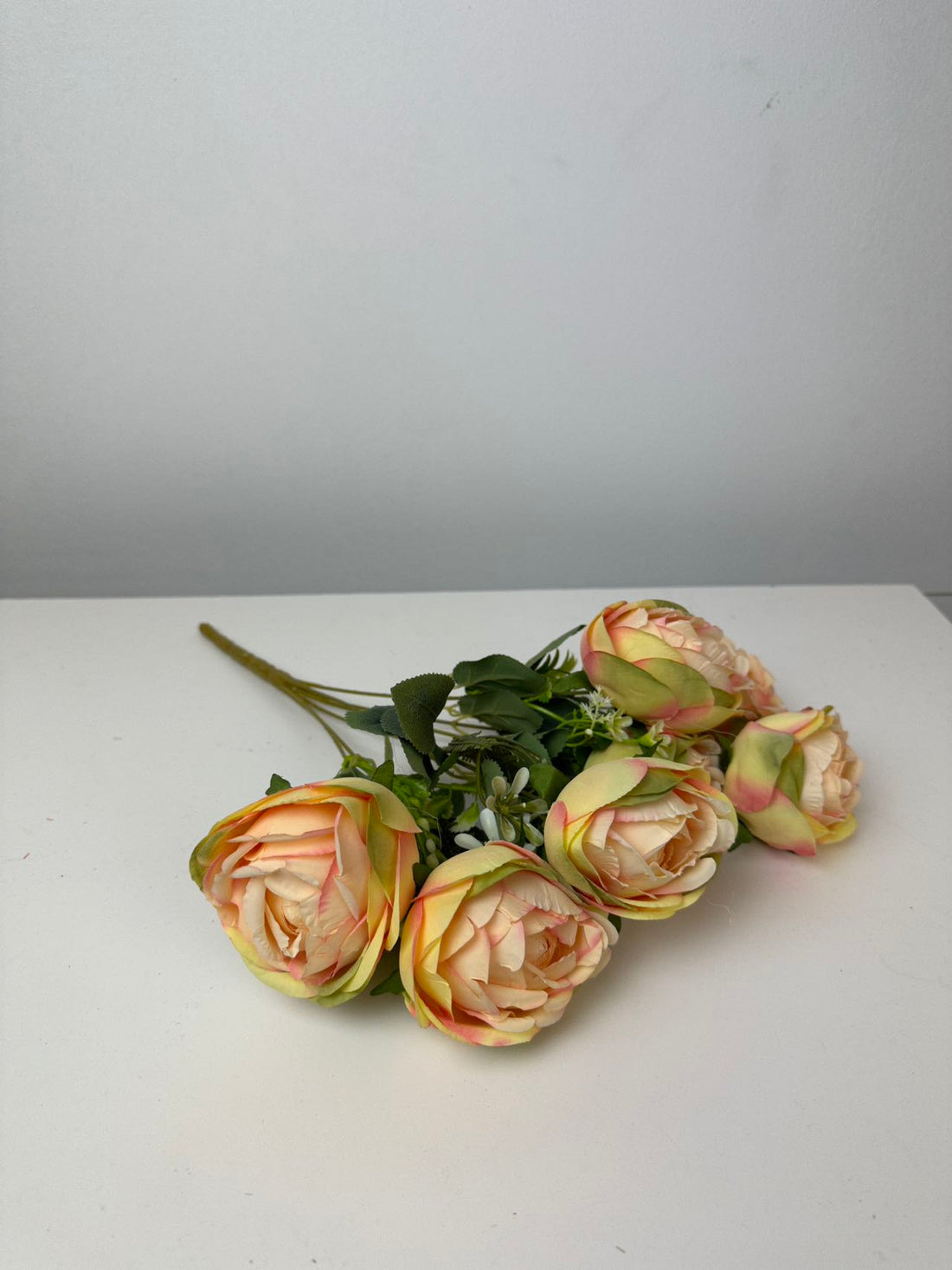 Градинска роза 7 глави праскова