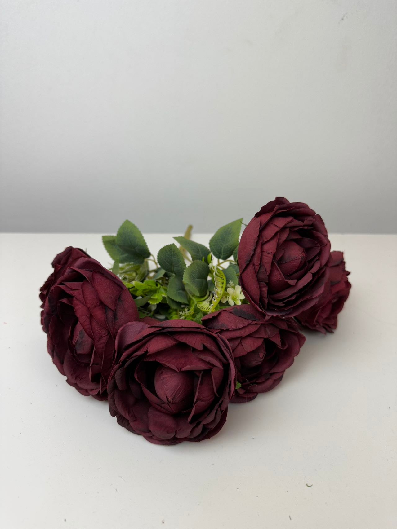 Градинска роза 7 глави бордо