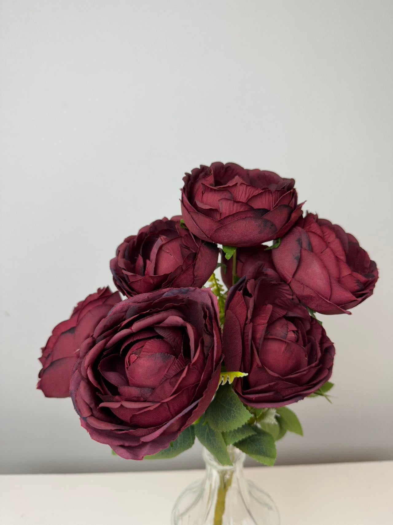 Градинска роза 7 глави бордо