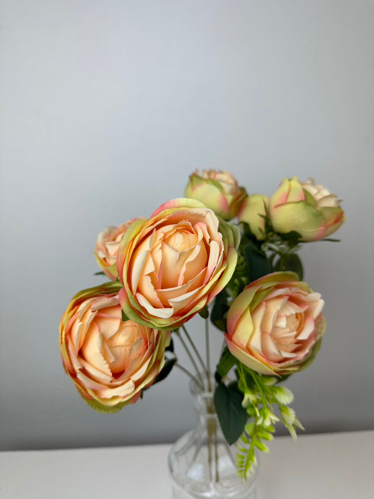 Градинска роза 7 глави праскова