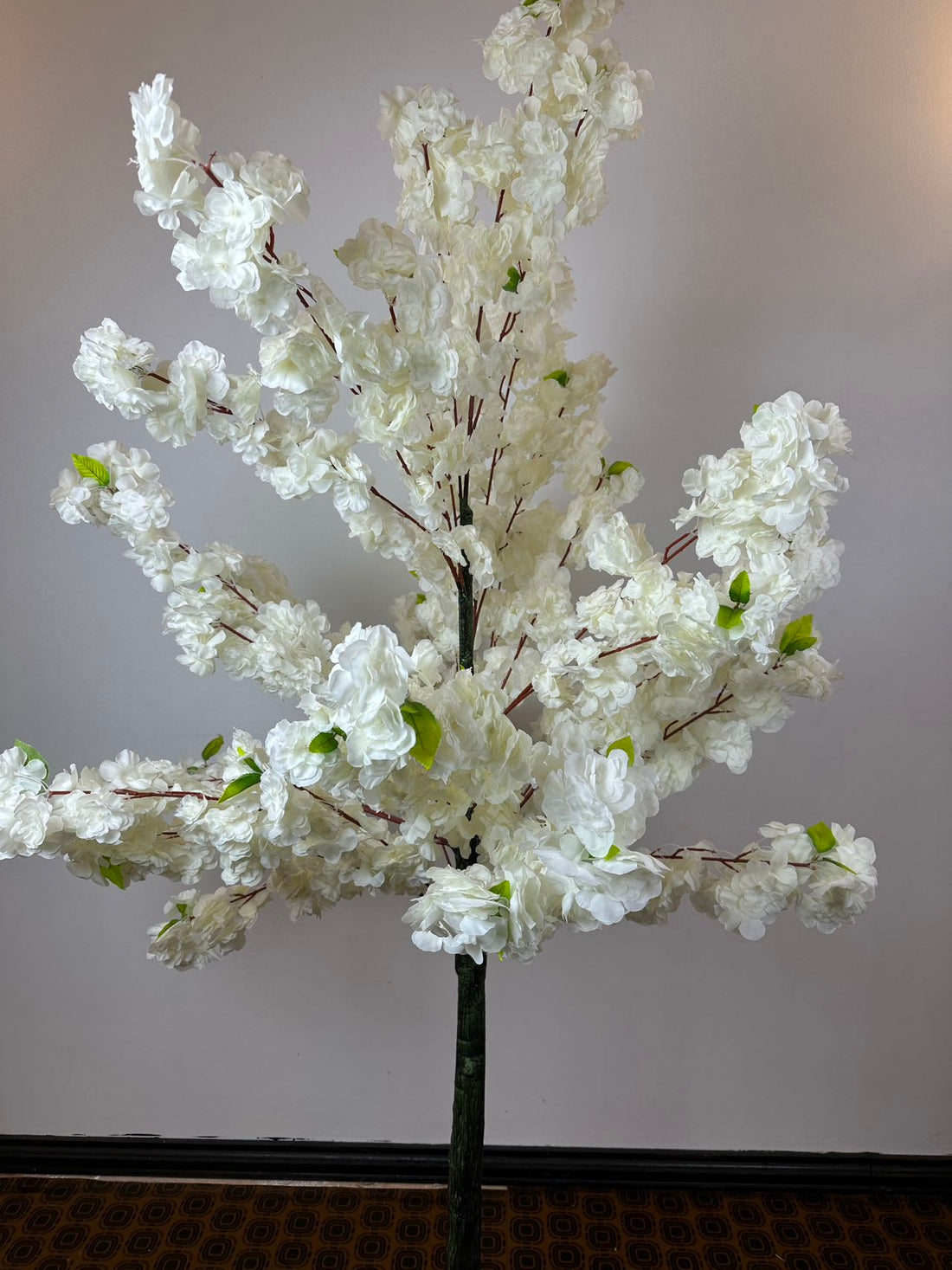 Декоративно дърво вишна бяло