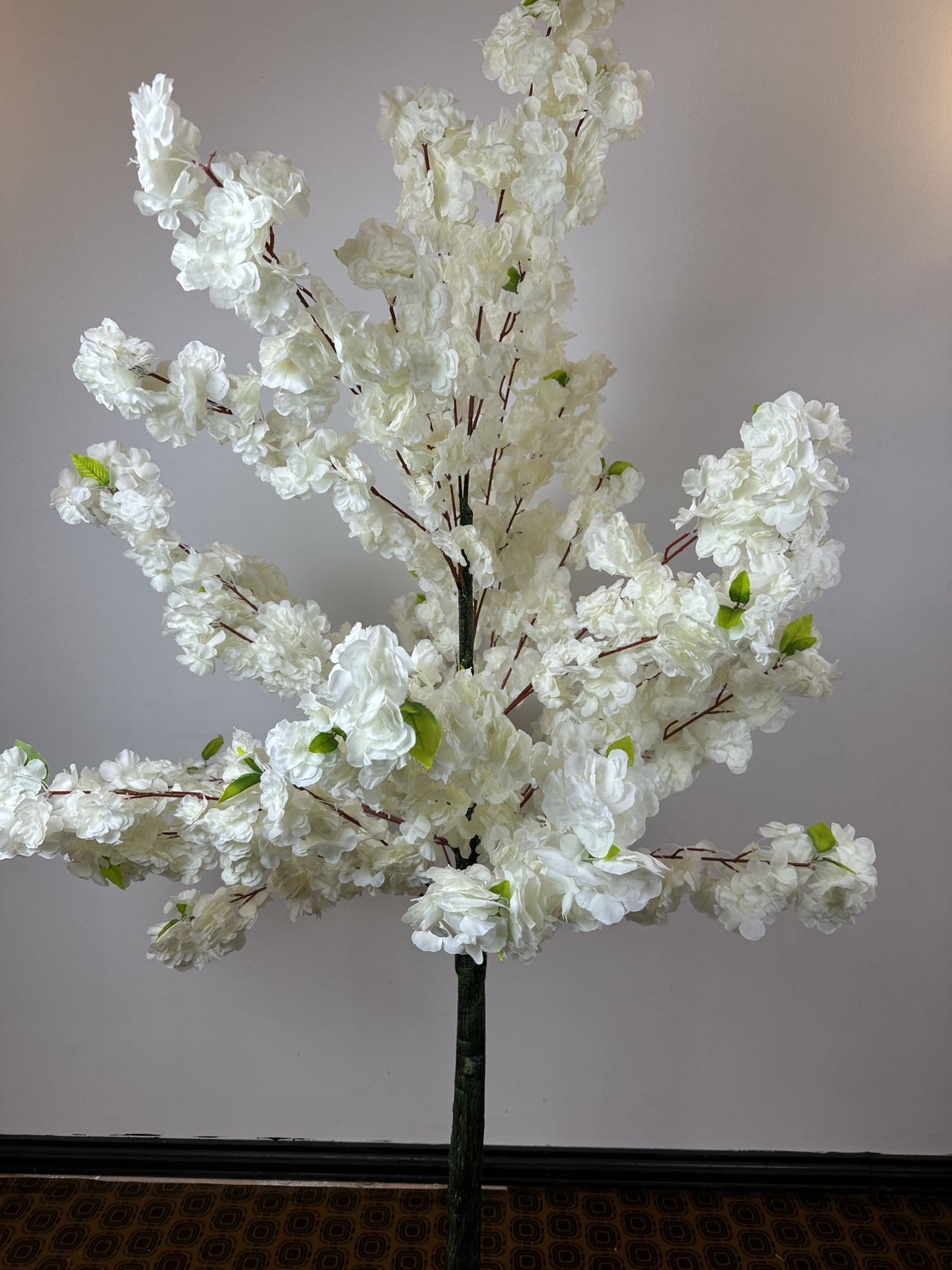 Декоративно дърво вишна бяло