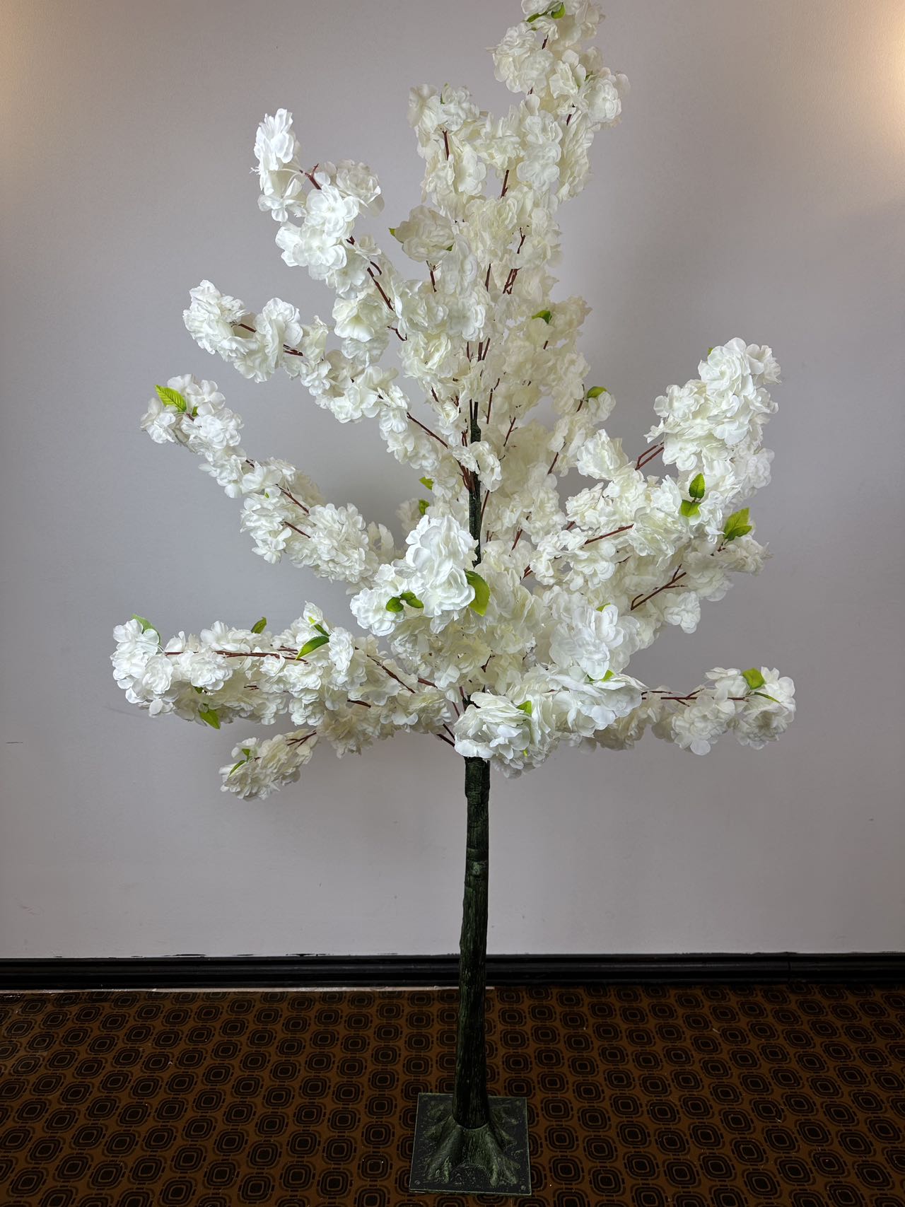 Декоративно дърво вишна бяло