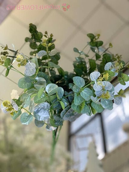 Зеленина евкалипт букет