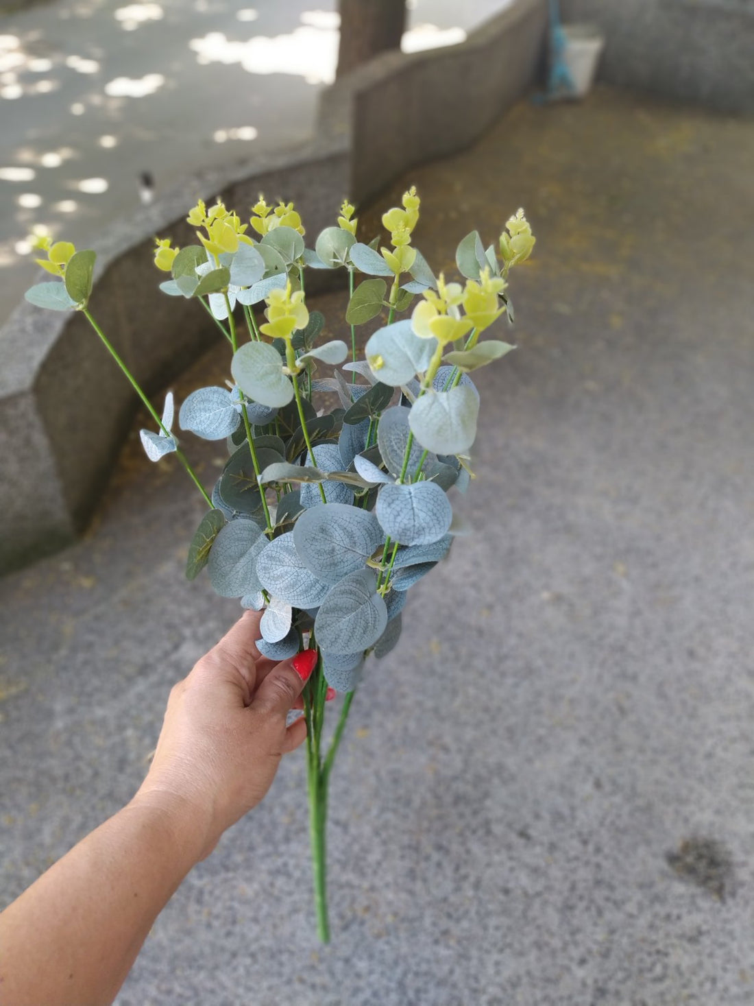 Зеленина евкалипт букет