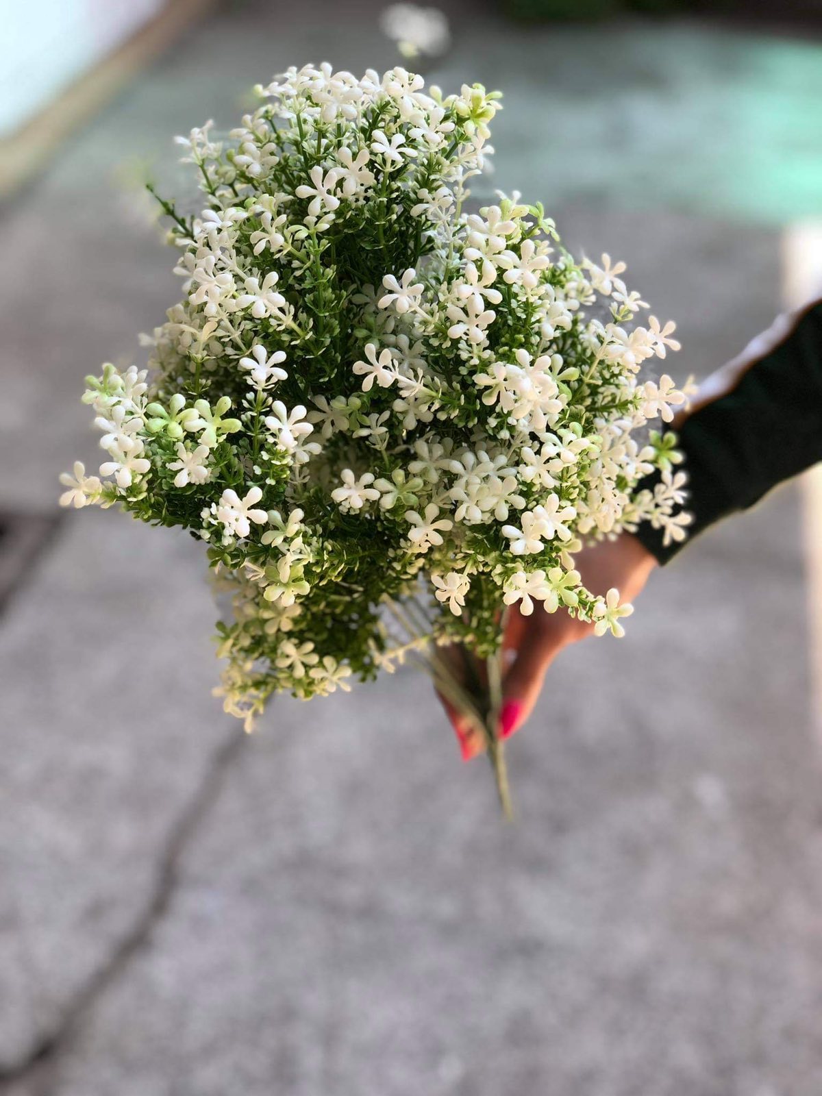 Зеленина с бял цвят